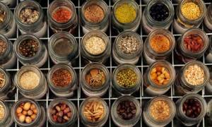 Seed-Diversity-in-the-Mil-007
