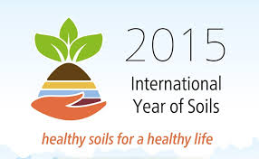 year of soils